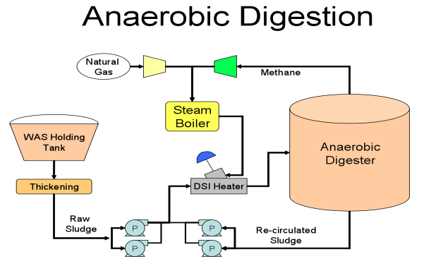 comparison-between-aerobic-activated-sludge-and-anaerobic-degradation